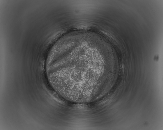 X0000091960652200710041029