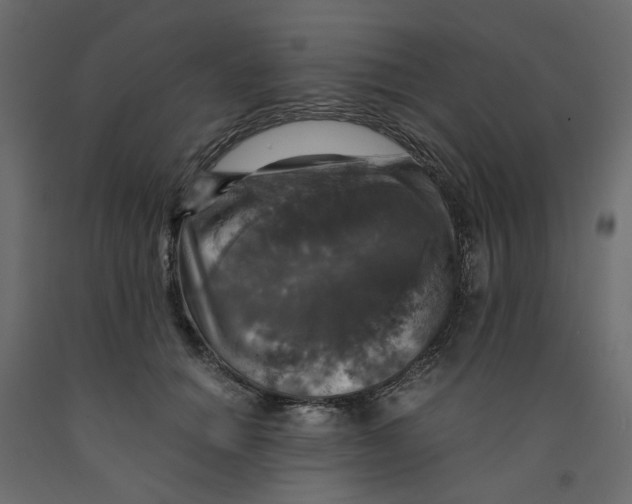 X0000091960654200710041029