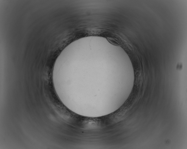 X0000091960655200710041029