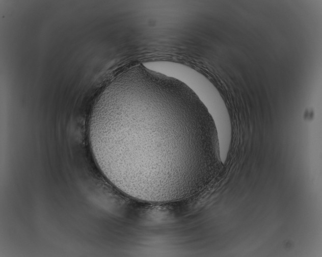 X0000091960656200710041029