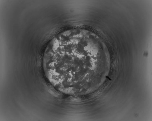 X0000091960658200710041029