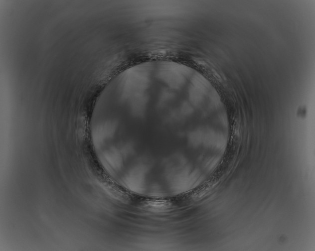 X0000091960659200710041029