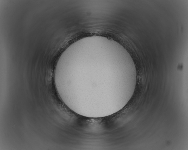 X0000091960660200710041029