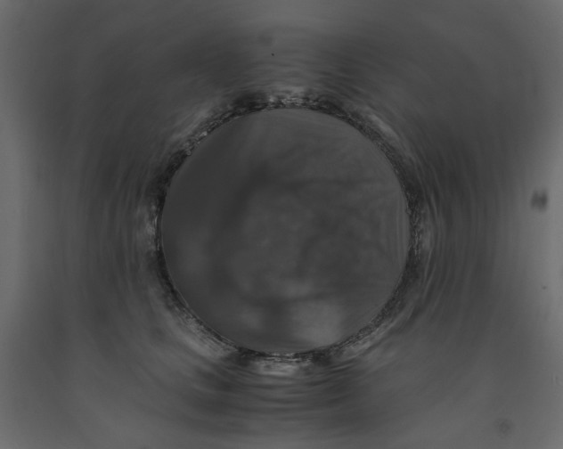 X0000091960661200710041029