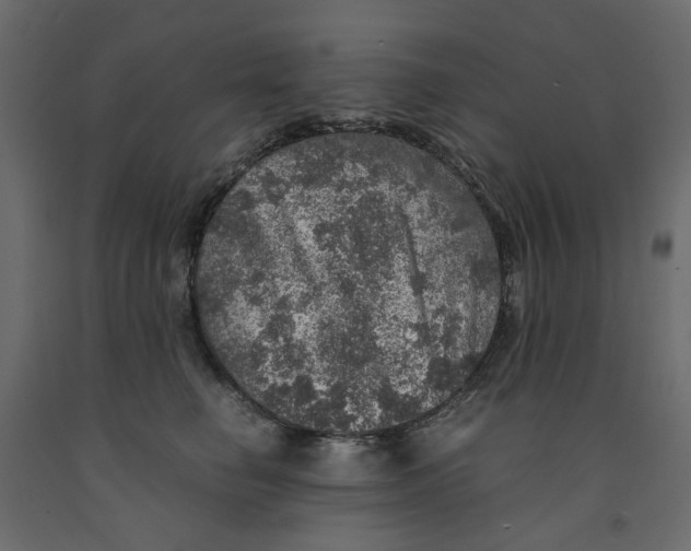 X0000091960662200710041029