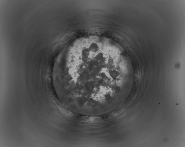 X0000091960663200710041029