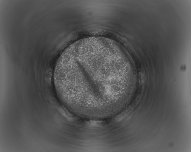 X0000091960664200710041029