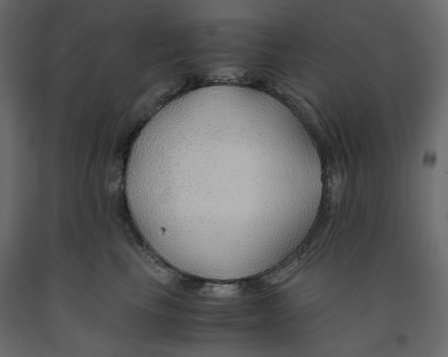 X0000091960665200710041029