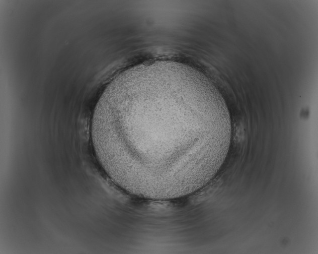 X0000091960666200710041029