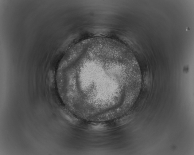 X0000091960667200710041029
