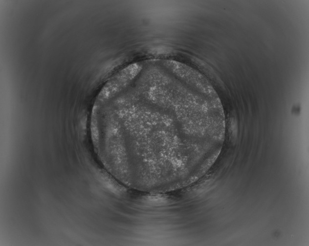 X0000091960668200710041029