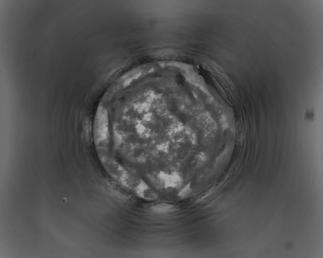X0000091960669200710041029