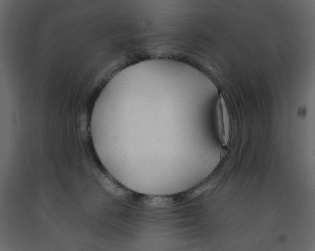 X0000091960670200710041029