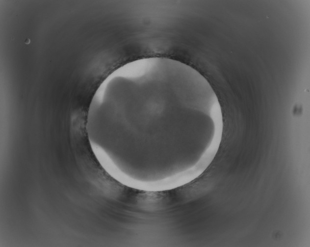 X0000091960672200710041029