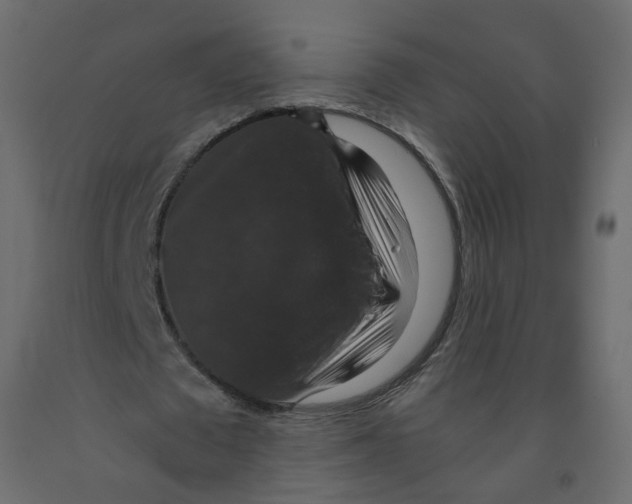 X0000091960673200710041029