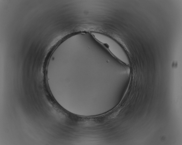 X0000091960674200710041029