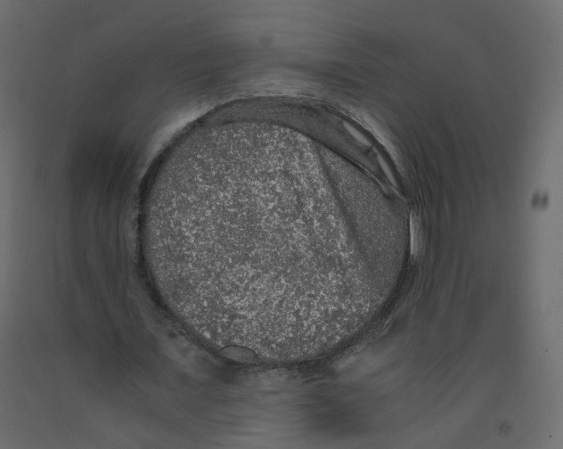 X0000091960675200710041029