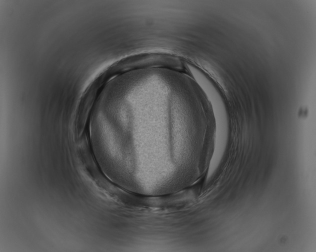 X0000091960676200710041029