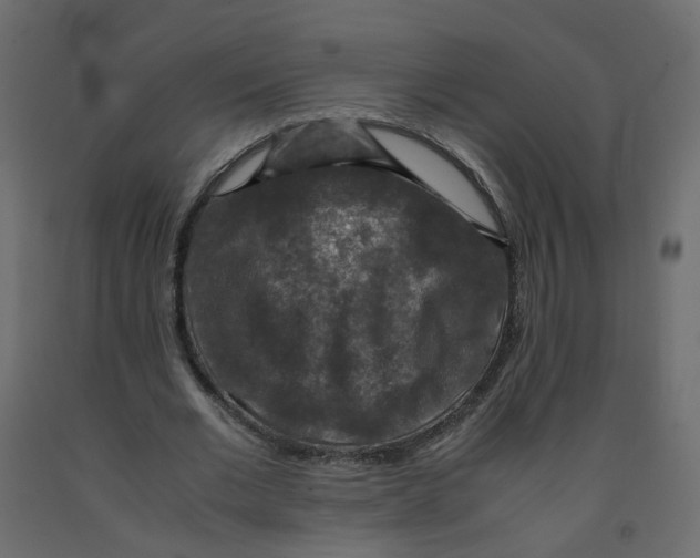 X0000091960677200710041029