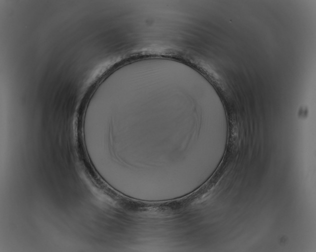 X0000091960678200710041029