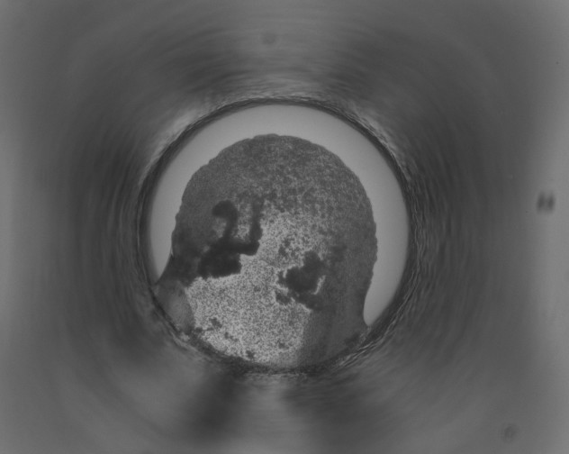 X0000091960679200710041029