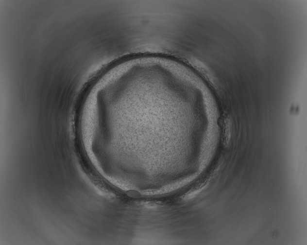 X0000091960680200710041029