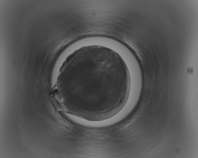 X0000091960681200710041029
