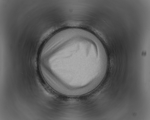 X0000091960682200710041029