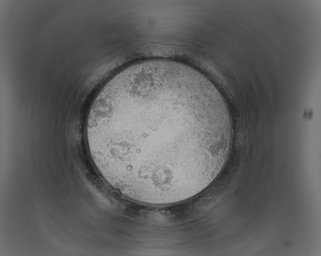X0000091960683200710041029