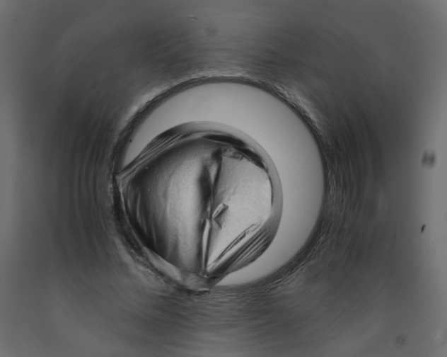 X0000091960684200710041029
