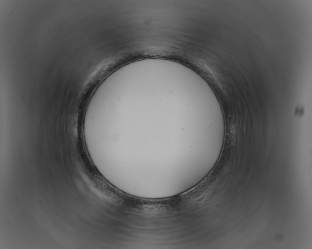 X0000091960686200710041029