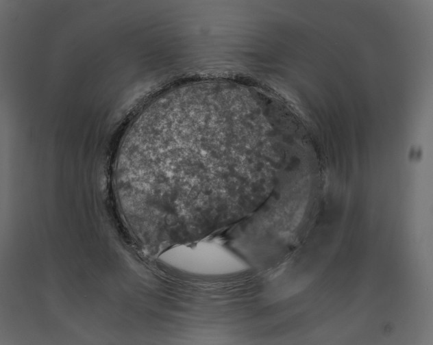 X0000091960687200710041029
