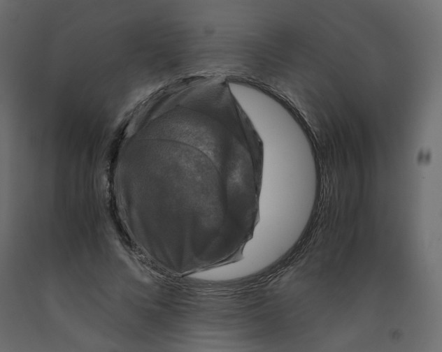 X0000091960688200710041029
