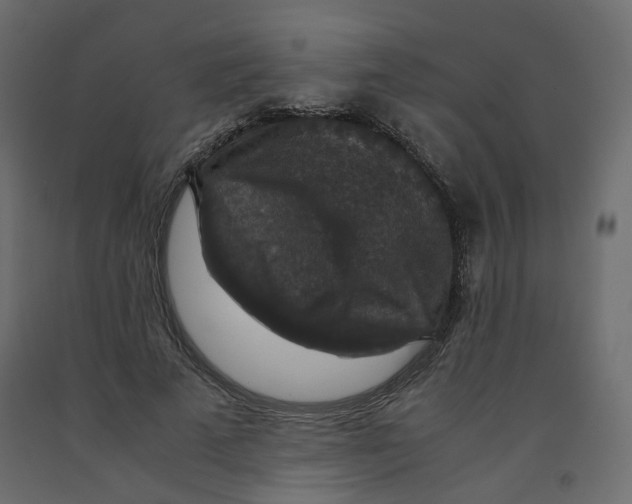 X0000091960689200710041029
