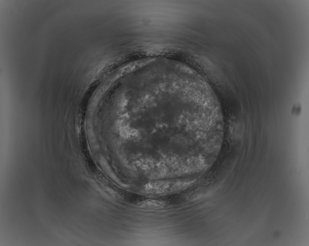 X0000091960691200710041029