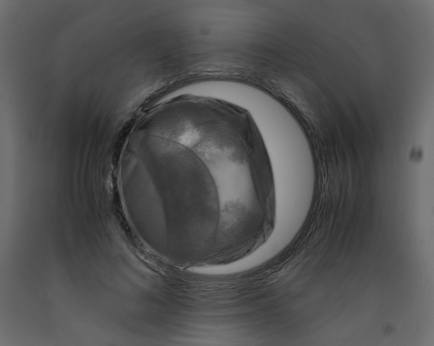 X0000091960692200710041029