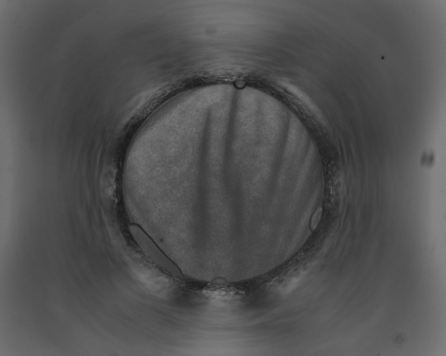 X0000091960693200710041029