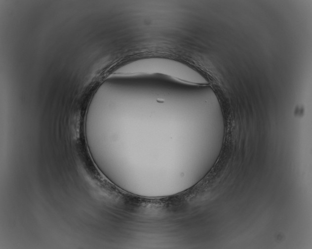 X0000091960694200710041029