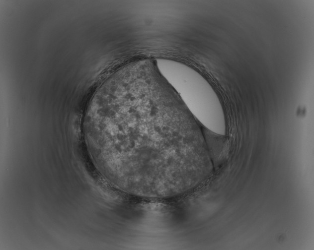 X0000091960695200710041029