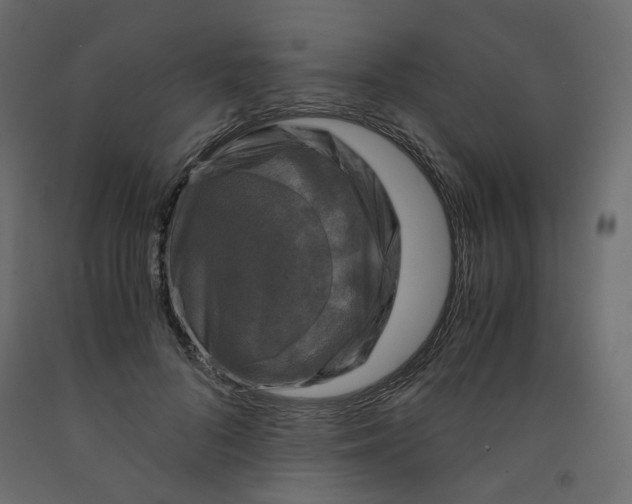 X0000091960696200710041029