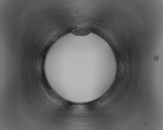X0000091960698200710041029