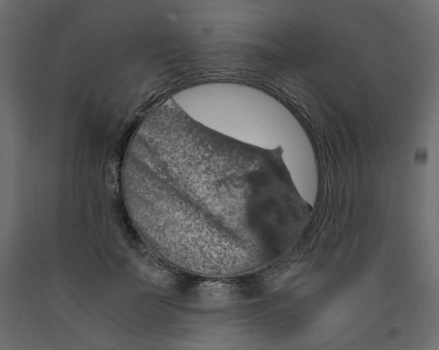 X0000091960699200710041029