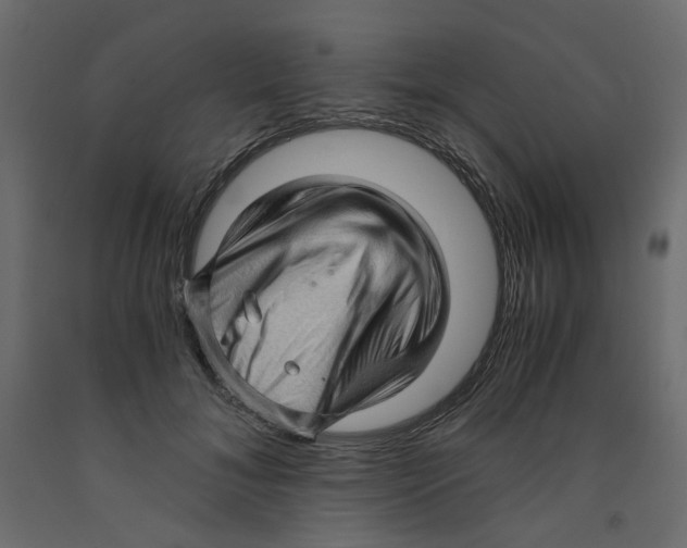 X0000091960700200710041028