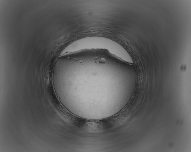 X0000091960703200710041028