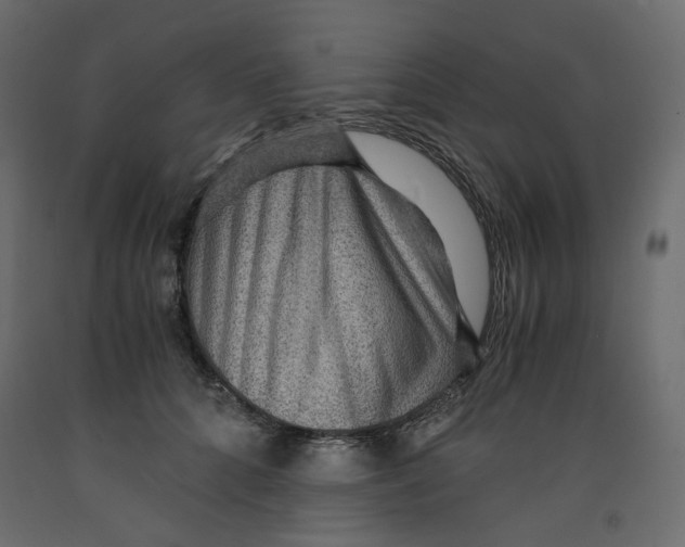 X0000091960704200710041028