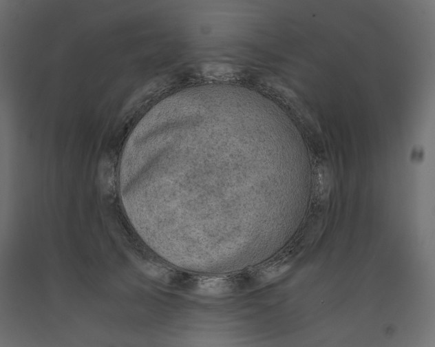 X0000091960705200710041028