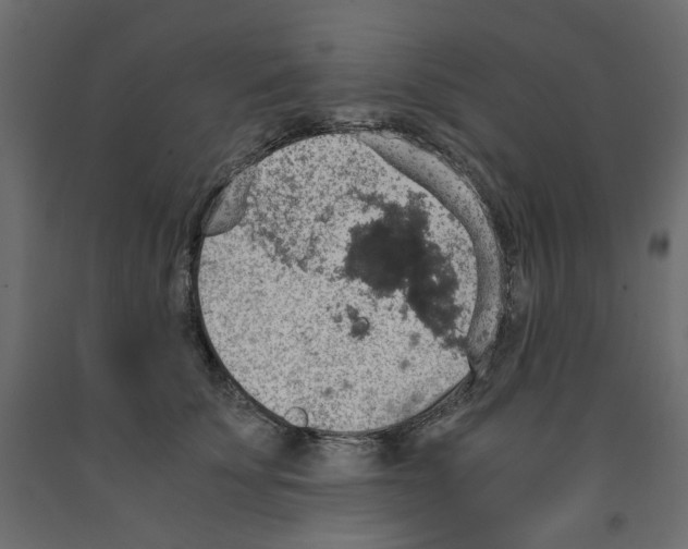 X0000091960707200710041028