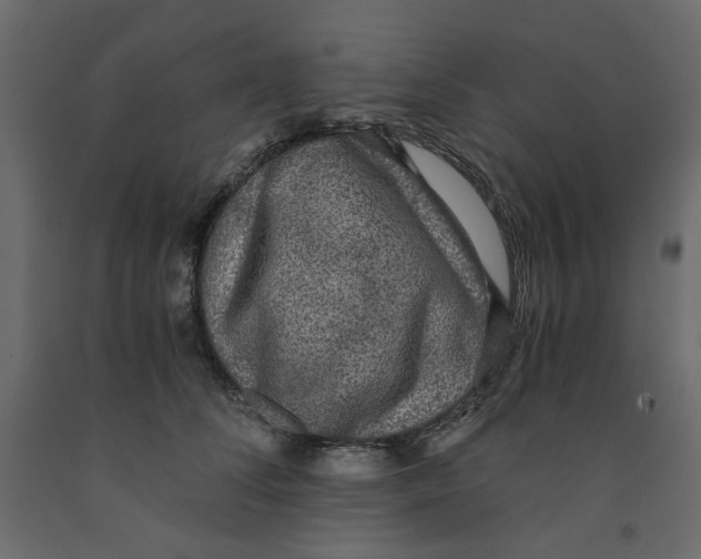 X0000091960708200710041028