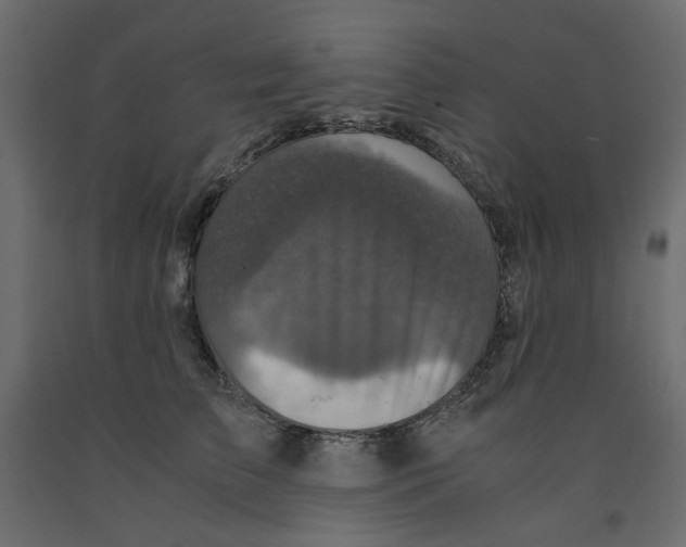 X0000091960709200710041028