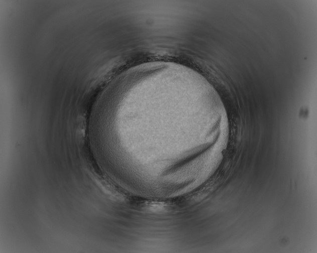 X0000091960710200710041028